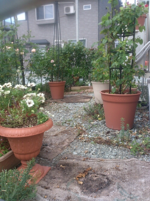 b0232804_2149650.jpg