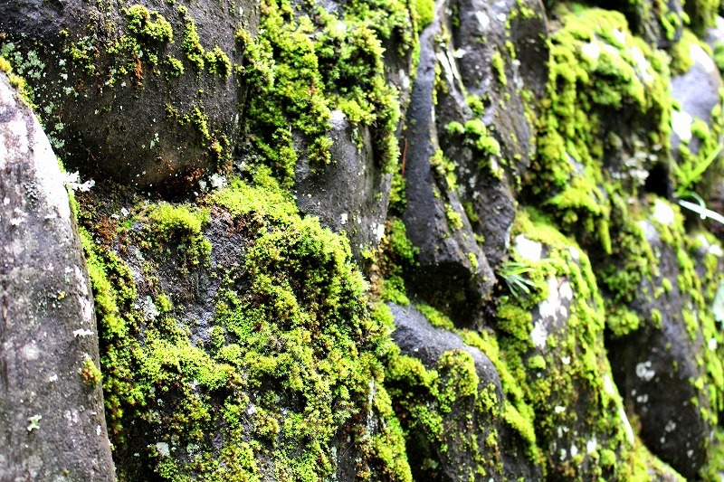 c0323807_14505152.jpg