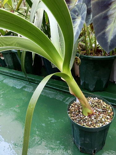 b0099813_0151380.jpg