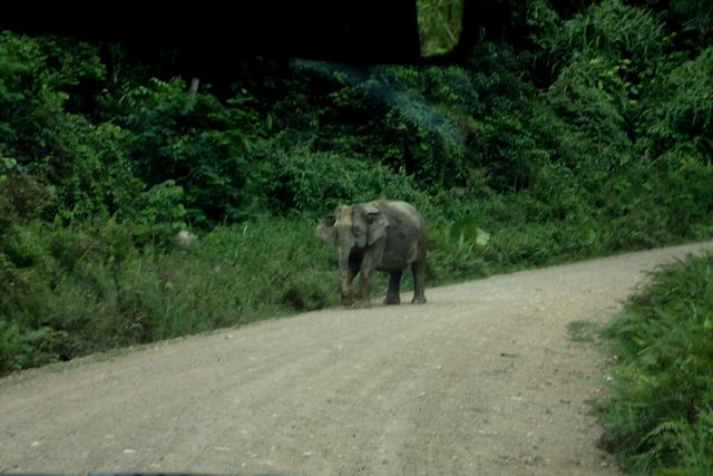 c0369423_1452898.jpg