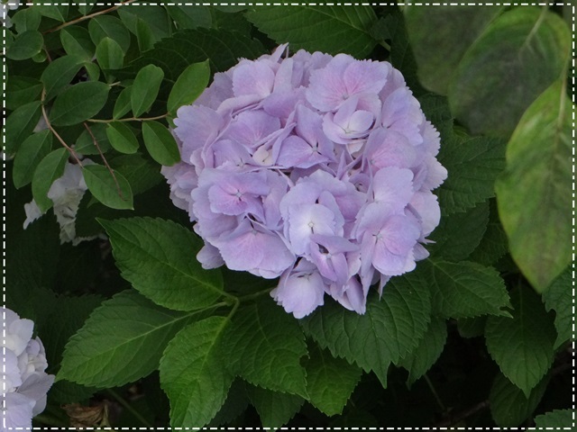 d0037233_10422575.jpg