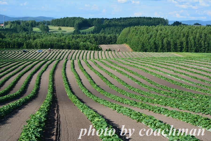 a0315942_22345822.jpg