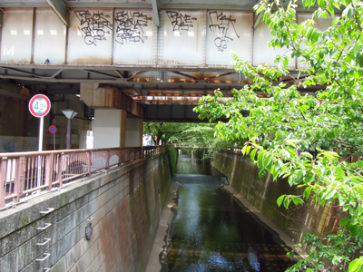 d0093043_1935218.jpg