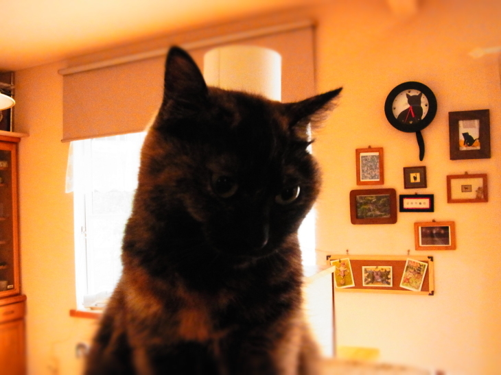 a0305046_10115294.jpg