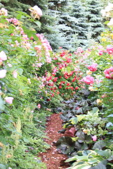 e0153758_92445.jpg
