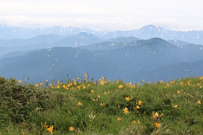 e0239458_22230669.jpg