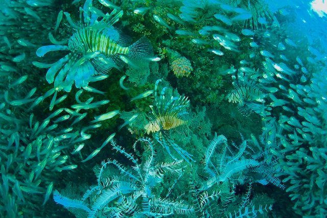 b0062363_17252171.jpg