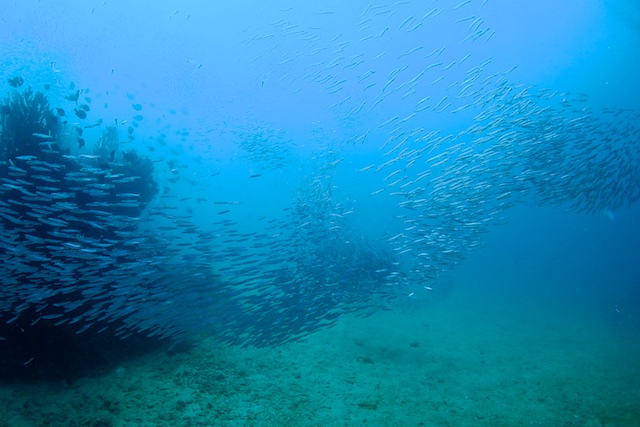 b0062363_172792.jpg