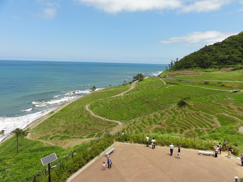 d0029363_051223.jpg
