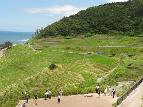 d0029363_052070.jpg