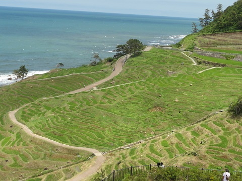 d0029363_053228.jpg