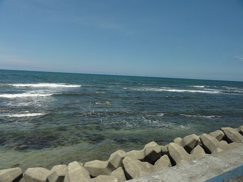 d0029363_2252323.jpg