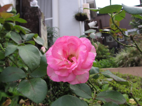 a0243064_11125839.jpg