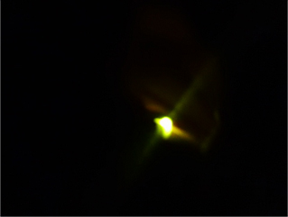 c0022376_2005010.jpg