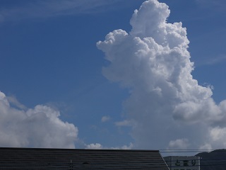 e0130185_2055289.jpg