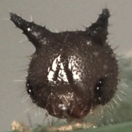 b0194593_1015235.jpg