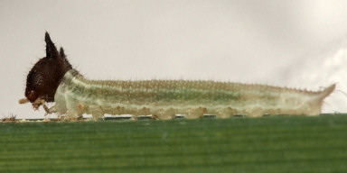 b0194593_1022289.jpg