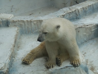 f0297893_20411755.jpg