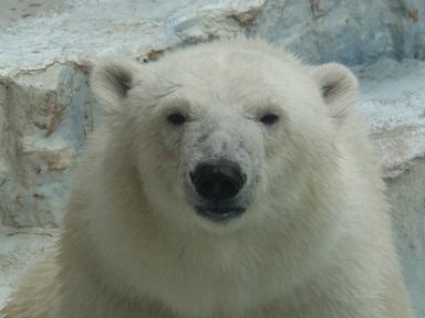 f0297893_20483046.jpg