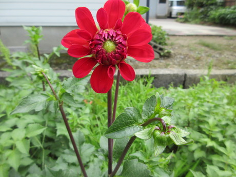 a0203003_21263359.jpg
