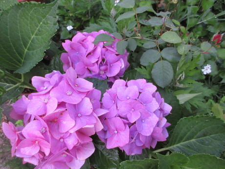a0203003_21272736.jpg