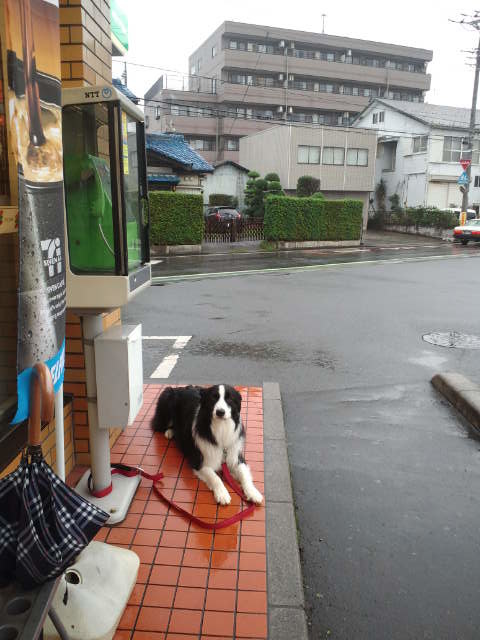 d0224111_06145098.jpg