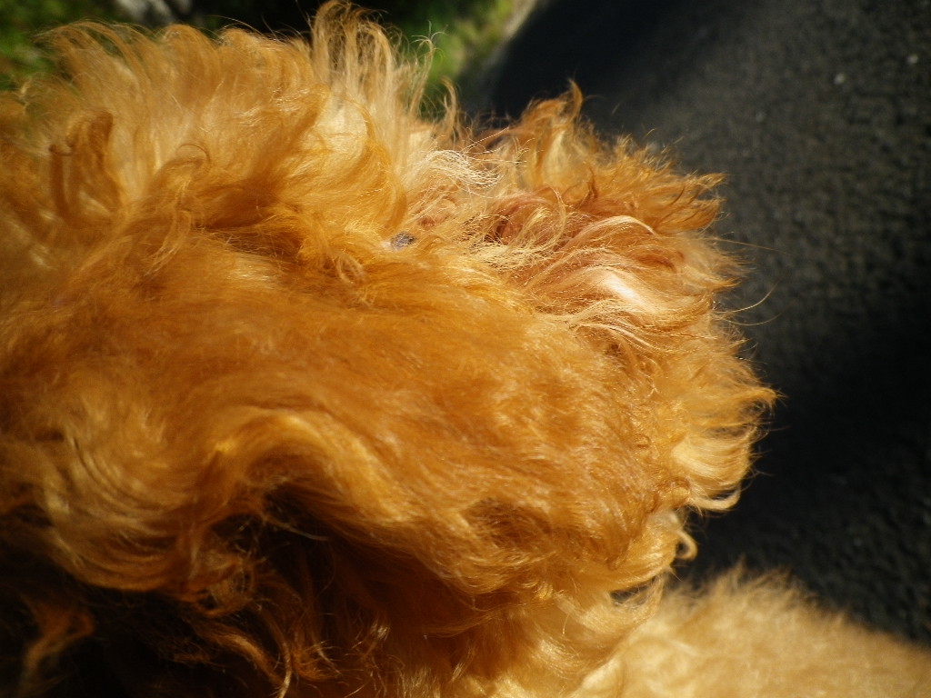 e0052716_10372561.jpg