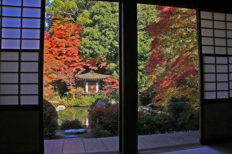 b0042837_2124662.jpg