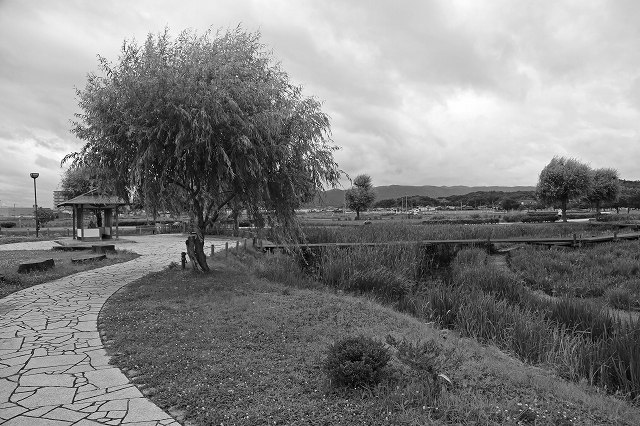 a0242438_19145376.jpg