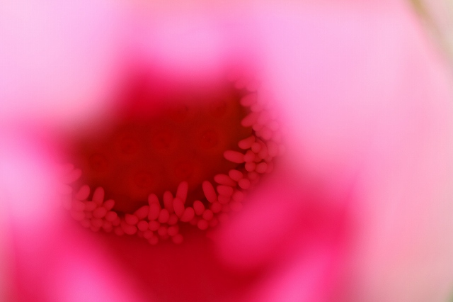 a0242438_191666.jpg