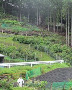 a0054948_10414250.jpg