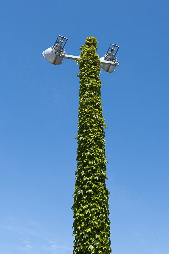 f0077849_18125276.jpg