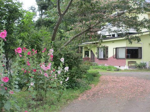 e0325357_1032783.jpg