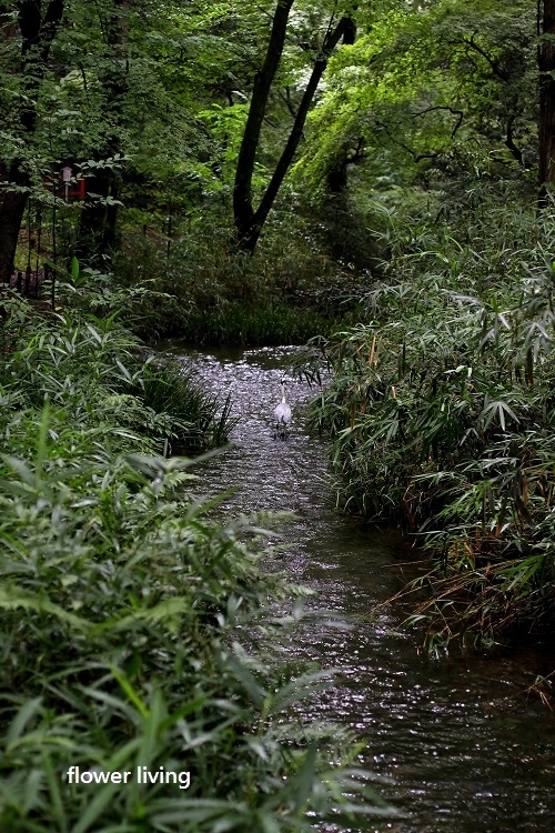 e0170658_13290584.jpg