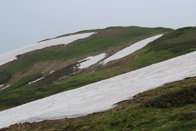 e0239458_09571276.jpg