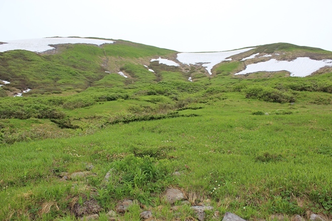 e0239458_10001598.jpg