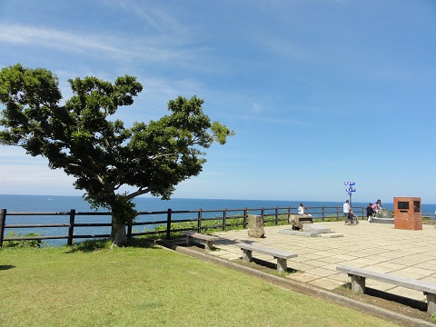 d0029363_1543856.jpg