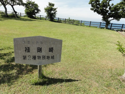 d0029363_154498.jpg