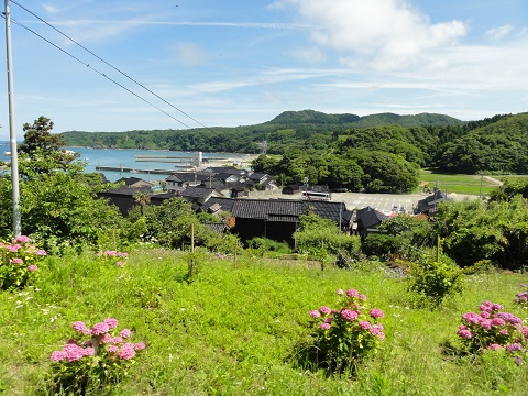 d0029363_1562640.jpg