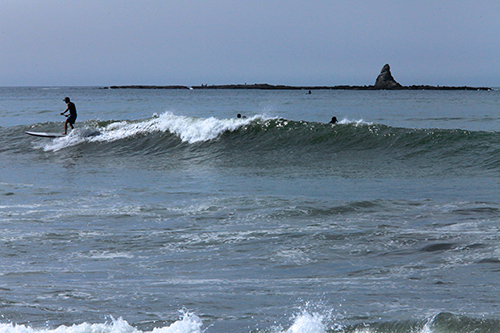 a0157069_252473.jpg