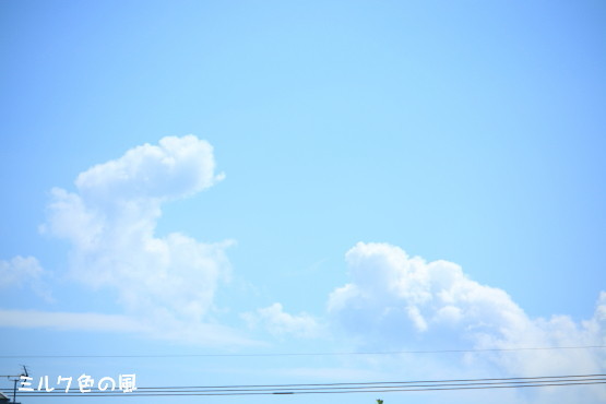c0368870_12255466.jpg