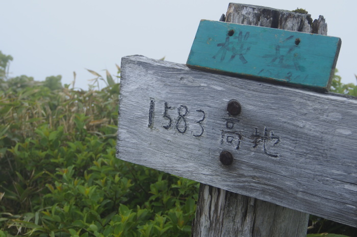 e0307372_11421253.jpg