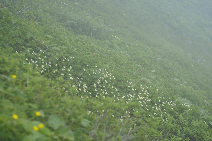 e0307372_16264443.jpg