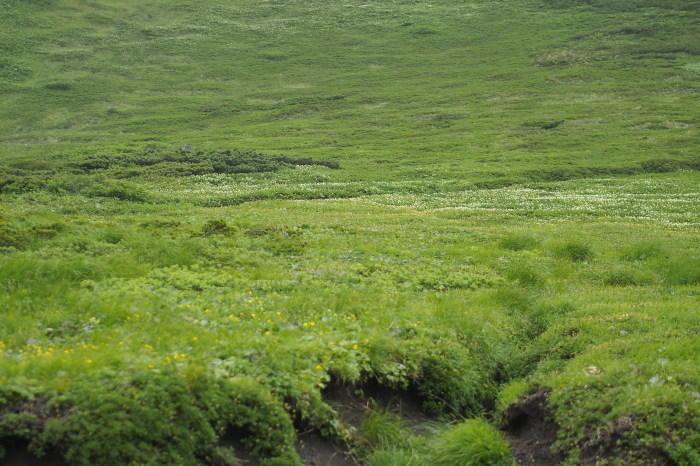 e0307372_17194635.jpg
