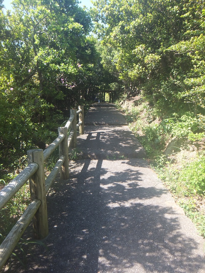 f0238779_12152612.jpg