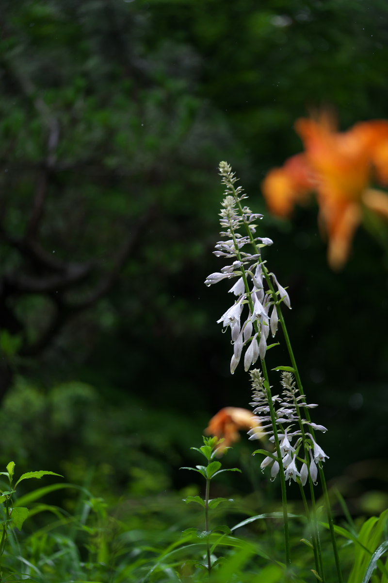 a0083081_18114328.jpg