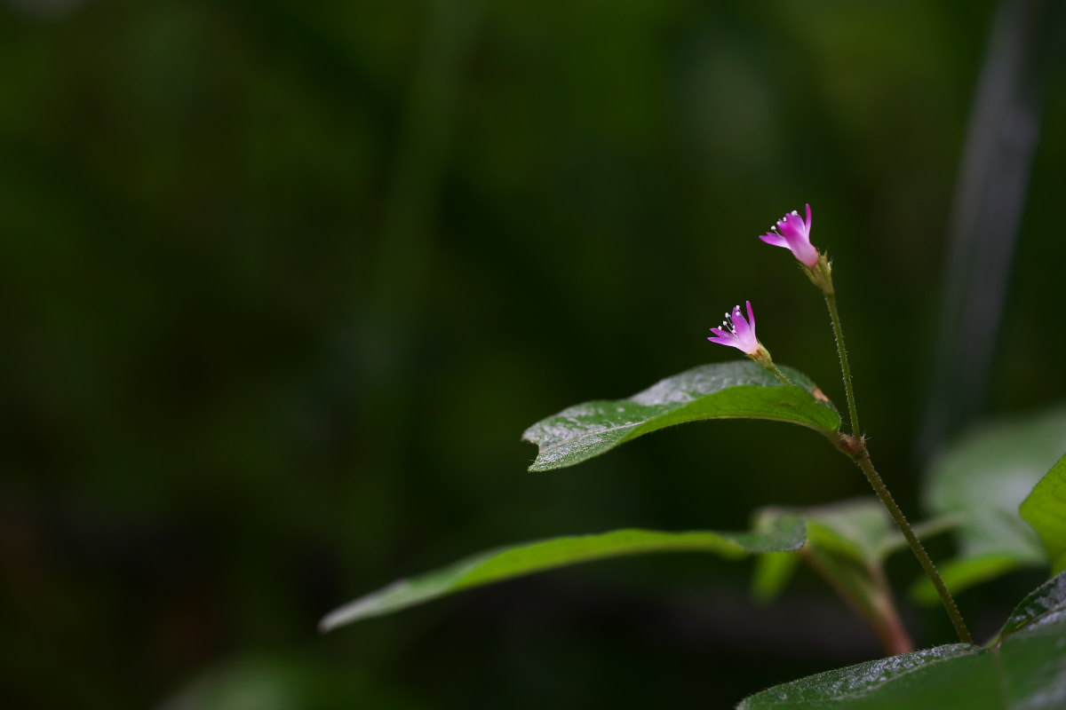 a0083081_18121490.jpg