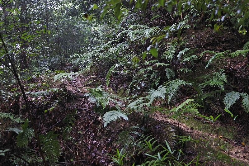 e0024081_16562399.jpg