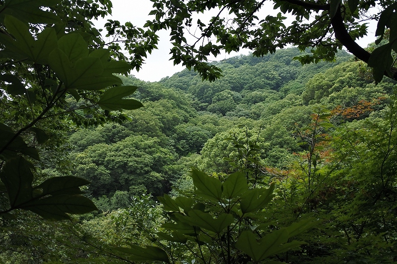 e0024081_16584826.jpg