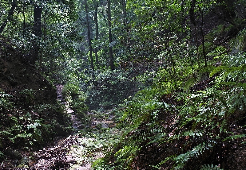 e0024081_17062120.jpg